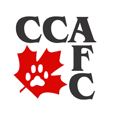 CCA-AFC Logo